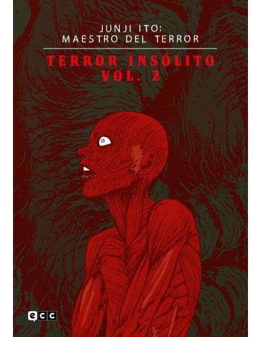Junji Ito: Maestro del terror - Terror Insólito 02