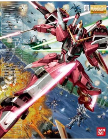 Mg Gundam Infinite Justice 1/100