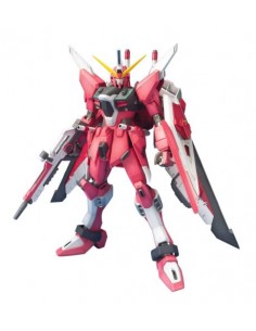 Mg Gundam Infinite Justice 1/100 2