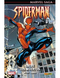 MARVEL KNIGHTS: SPIDERMAN 01