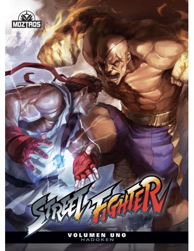 STREET FIGHTER 01