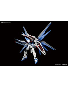 HGCE FREEDOM GUNDAM 1/144 2