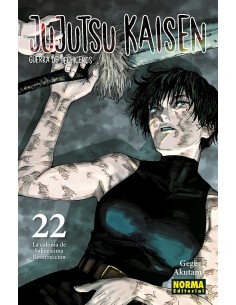 JUJUTSU KAISEN 22