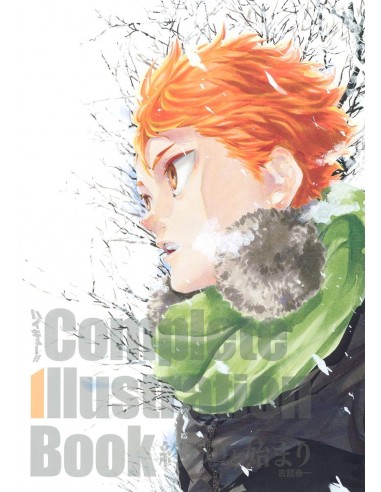 HAIKYU !! COMPLETE ILLUSTRATION BOOK END AND BEGINNING