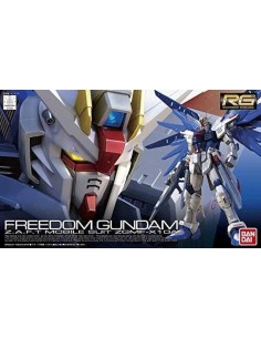 Rg Gundam Freedom 1/144