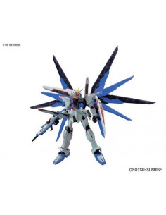 Rg Gundam Freedom 1/144 2