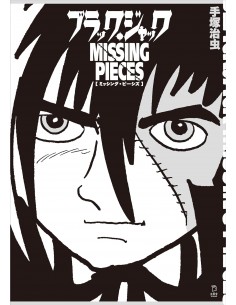 BLACK JACK MISSING PIECES
