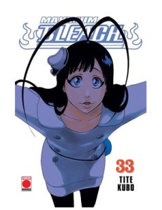 Bleach Maximum nº33