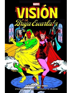LA VISION Y LA BRUJA ESCARLATA. UN AÑO EN SUS VIDAS