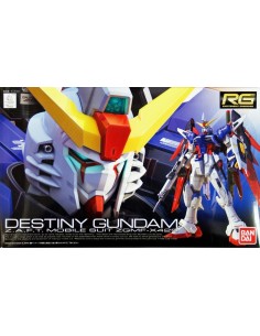 RG GUNDAM DESTINY 1/144