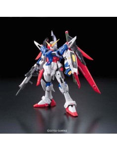 RG GUNDAM DESTINY 1/144 2