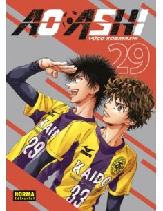 AO ASHI 29