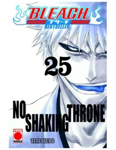 BLEACH BESTSELLER 25