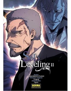SOLO LEVELING 11