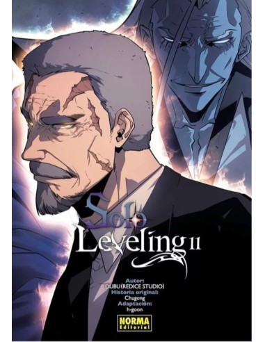 SOLO LEVELING 11