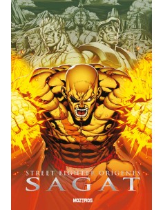 STREET FIGHTER ORIGENES - SAGAT