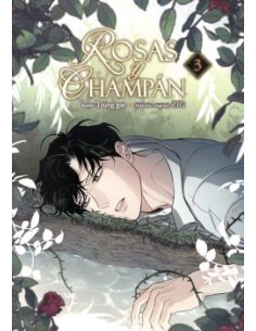 ROSAS Y CHAMPAN 03