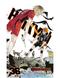 Haikyû!! nº 37
