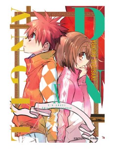 D.N. ANGEL 10 KANZENBAN