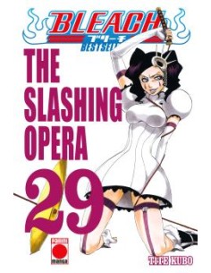 BLEACH BESTSELLER 29