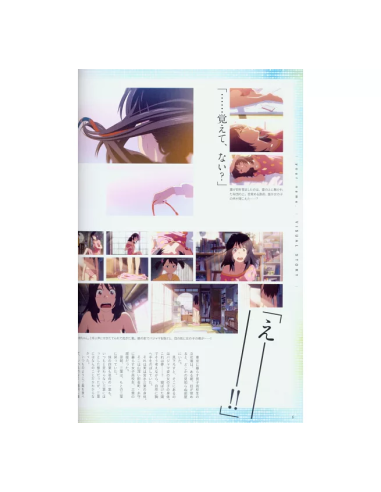MAKOTO SHINKAI KIMI NO NA WA. OFFICIAL VISUAL GUID