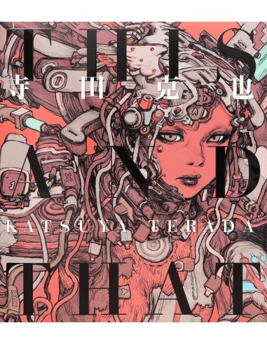 KATSUYA TERADA ARTWORKS: THIS AND THAT