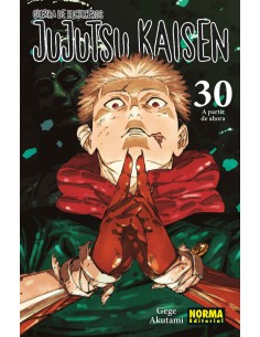 JUJUTSU KAISEN 30
