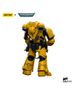 WARHAMMER 40K IMPERIAL FISTS INTERCESSORS 12 CM 2