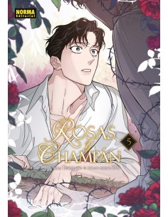 ROSAS Y CHAMPAN 05