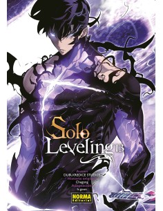 SOLO LEVELING 14