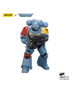 Warhammer 40,000 - Space Wolves Intercessor 2