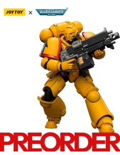 Warhammer 40,000 - Imperial Fists Intercessor