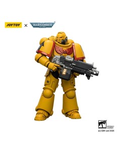 Warhammer 40,000 - Imperial Fists Intercessor 2