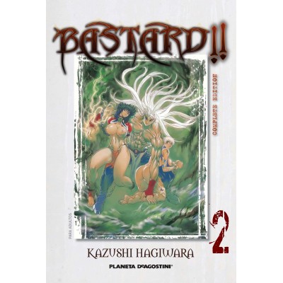 Bastard!! Complete Ed. Nº 02