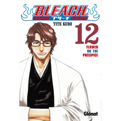 Bleach Nº 12