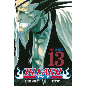 Bleach Nº 13