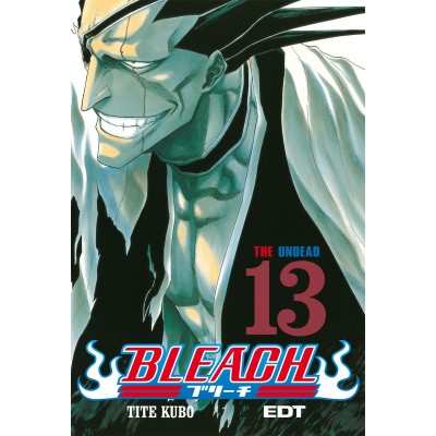 Bleach Nº 13