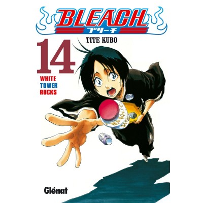Bleach Nº 14