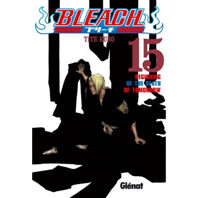 Bleach Nº 15