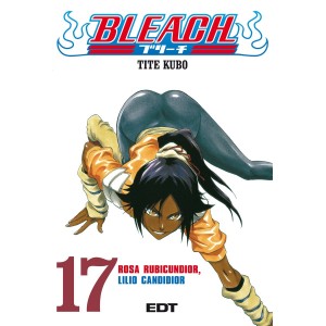 Bleach Nº 17