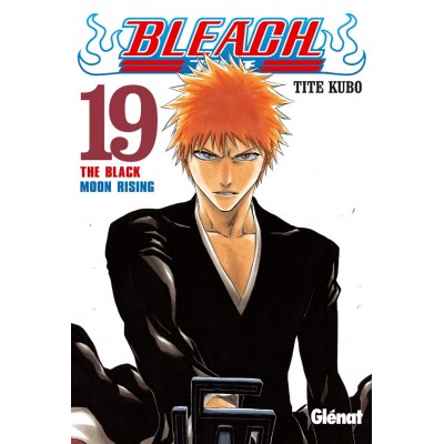 Bleach Nº 19