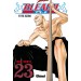 Bleach Nº 23