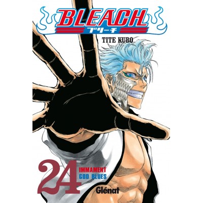 Bleach Nº 24