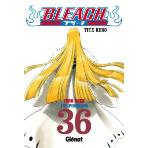 Bleach Nº 36