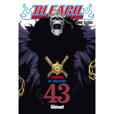 Bleach Nº 43