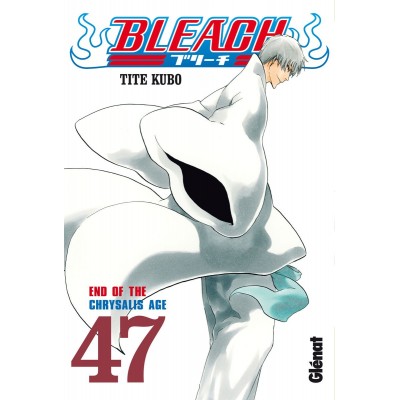 Bleach Nº 47