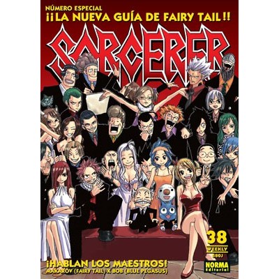 Fairy Tail Sorcerer