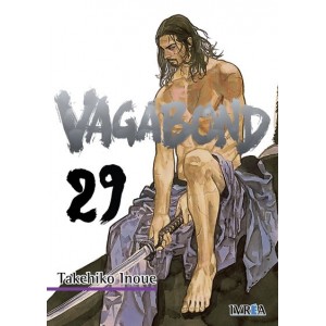 Vagabond Nº  29