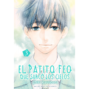 El patito feo que surcó los cielos nº 03