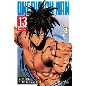 One Punch-man nº 13